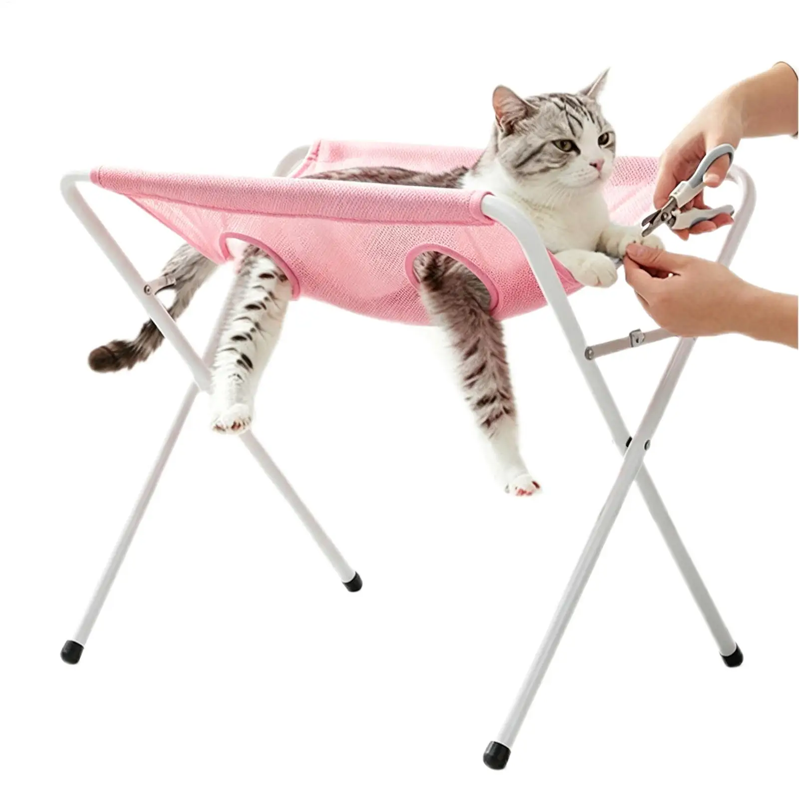 Pet Grooming Fixed Bed Detachable Anti Bite Pet Care Station Scratch Proof Grooming Tool For Puppy Cat Nail Trimming Bathing