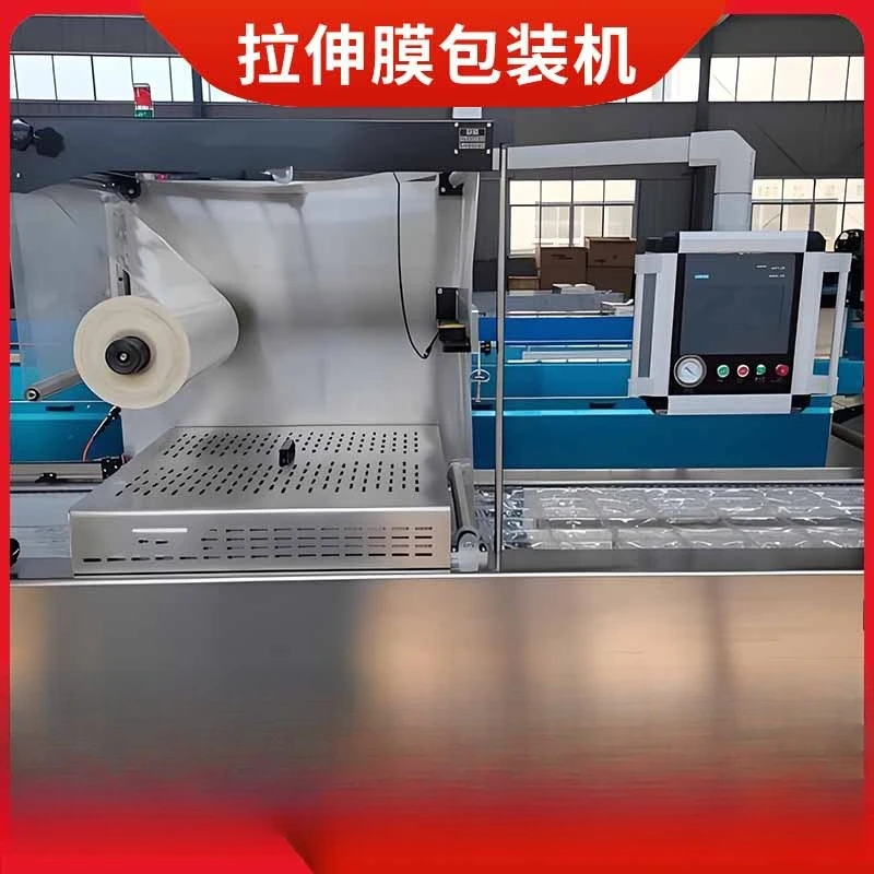 Shuangyi Machinery Continuous Snail   Automatic Vacuum Equipment