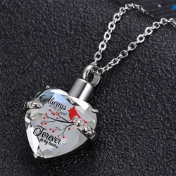 Crystal Heart Cremation Jewelry Memorial Urn Necklace for Ashes, Stainless Steel Ash Holder Pendant Keepsake Charm Necklace
