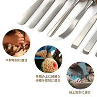 12PCS Wood Carving Hand Chisel Set Woodworking Professional Lathe Gouges Tools Wood Carving Hand Chisel Set