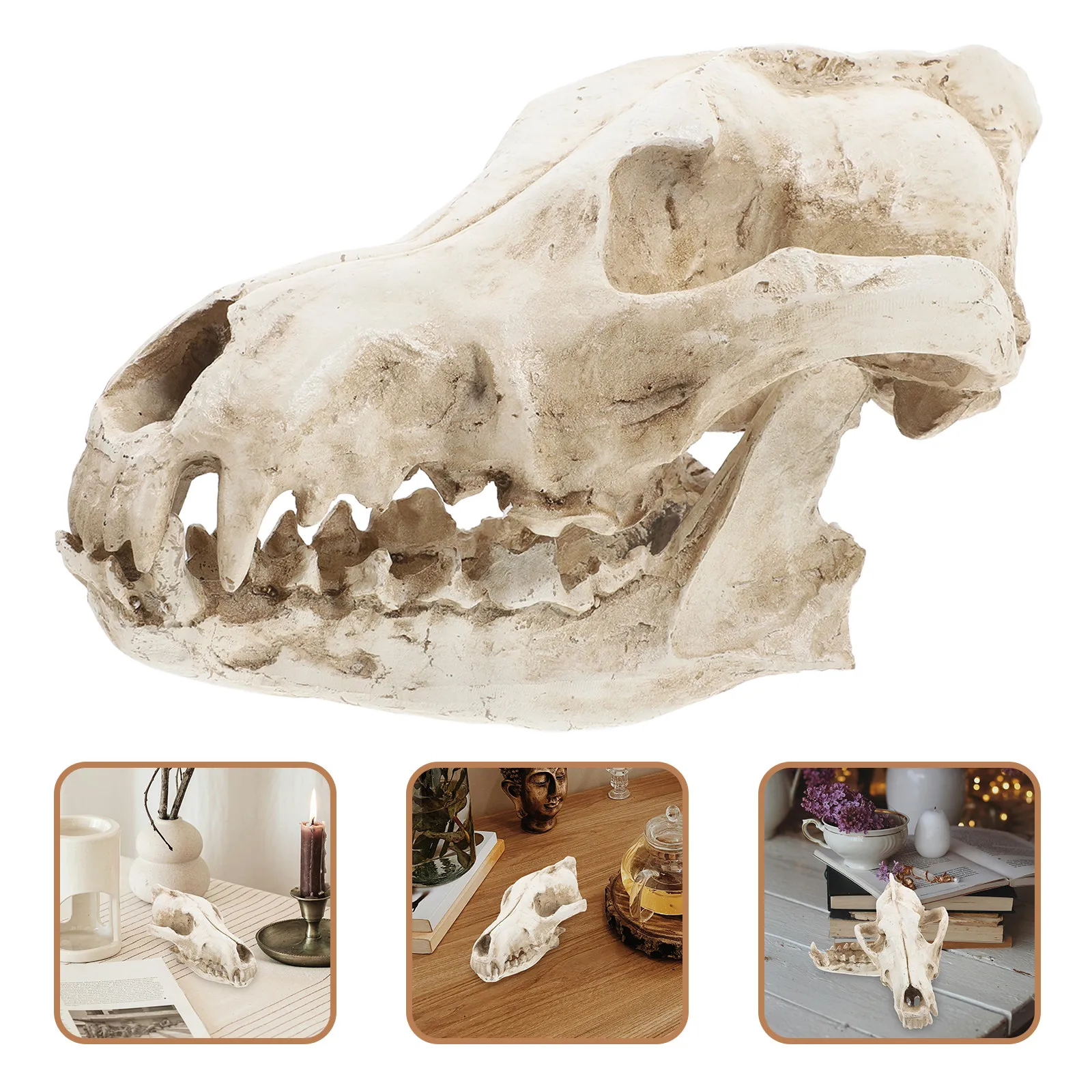 Wolf Skull Decor Resin Bone-Like Weight Feel Realistic Detailed Home Bar Party Teaching Collection Display