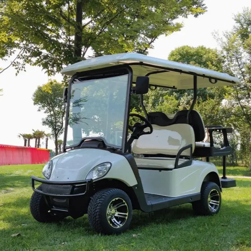 

MMC Sightseeing Bus CE Approved 2/4/6/8 Seaters Electric Lsv Golf Cart with Lithium/Lead Acid Battery