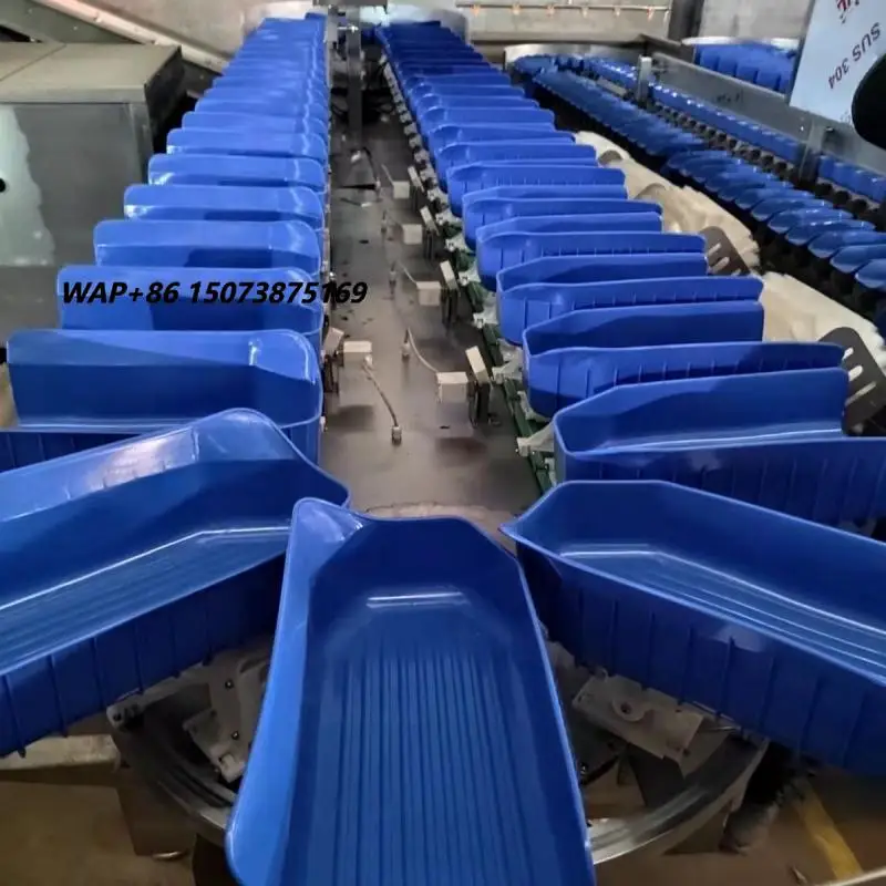 Automatic Mango Date Cherry Vegetable Fruit Olive Garlic Size Grading Sorting Machine for Fruit and Table