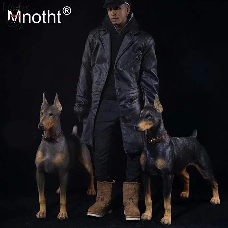 Mnotht 1/6 Schaal Doberman Pinscher Model Collecties Speelgoed Hars Dier Hond Model Voor 12in Action Figure Accessoires Speelgoed