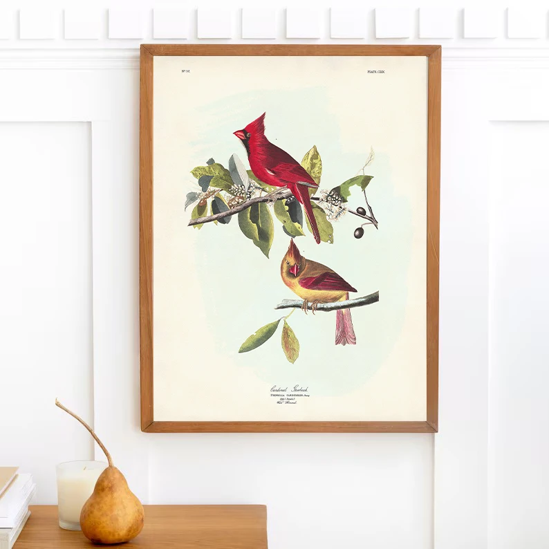 الطيور الأمريكية النباتية الطائر المحاكي ، روبن المشارك حائط لوح رسم صورة فنية ديكور المنزل الكلاسيكية خمر Audubon الفناء الخلفي