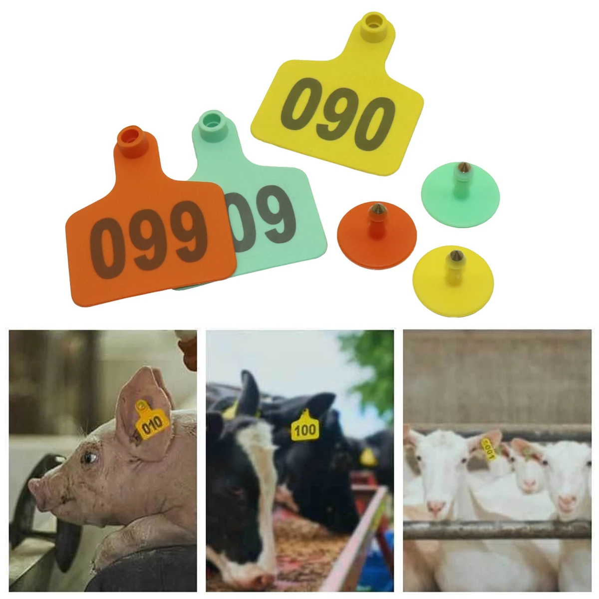 Sheep ear tag Signs with the word ear Laser Farm Animal Livestock Digital Identification Card Feeding Device Livestock Ear tag