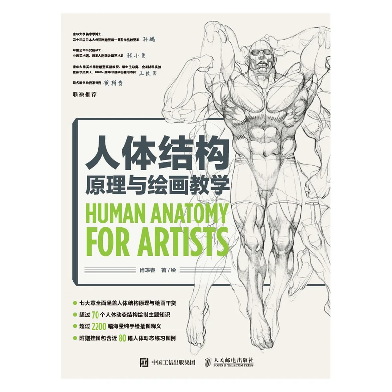 Anatomical Principles and Drawing Tutorials: Comprehensive Guide to Human Body Structure