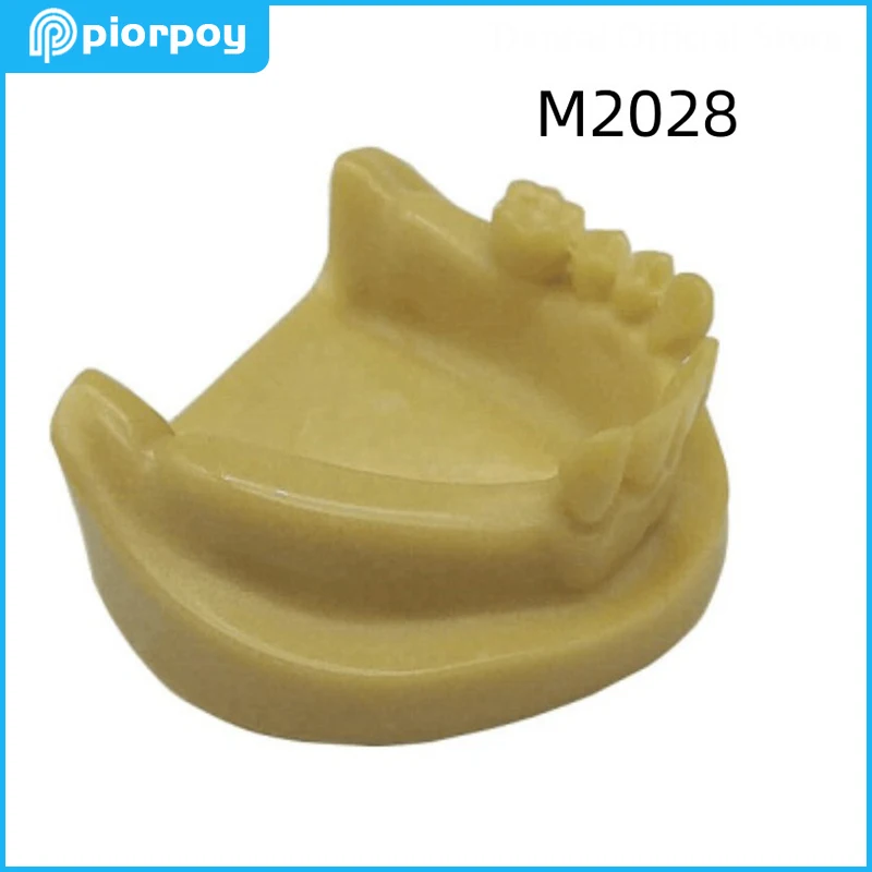 

Dental Teeth Model Foaming Deficiency Implantation Practice Dentistry Teaching Products Odontologia Students Traning M2028