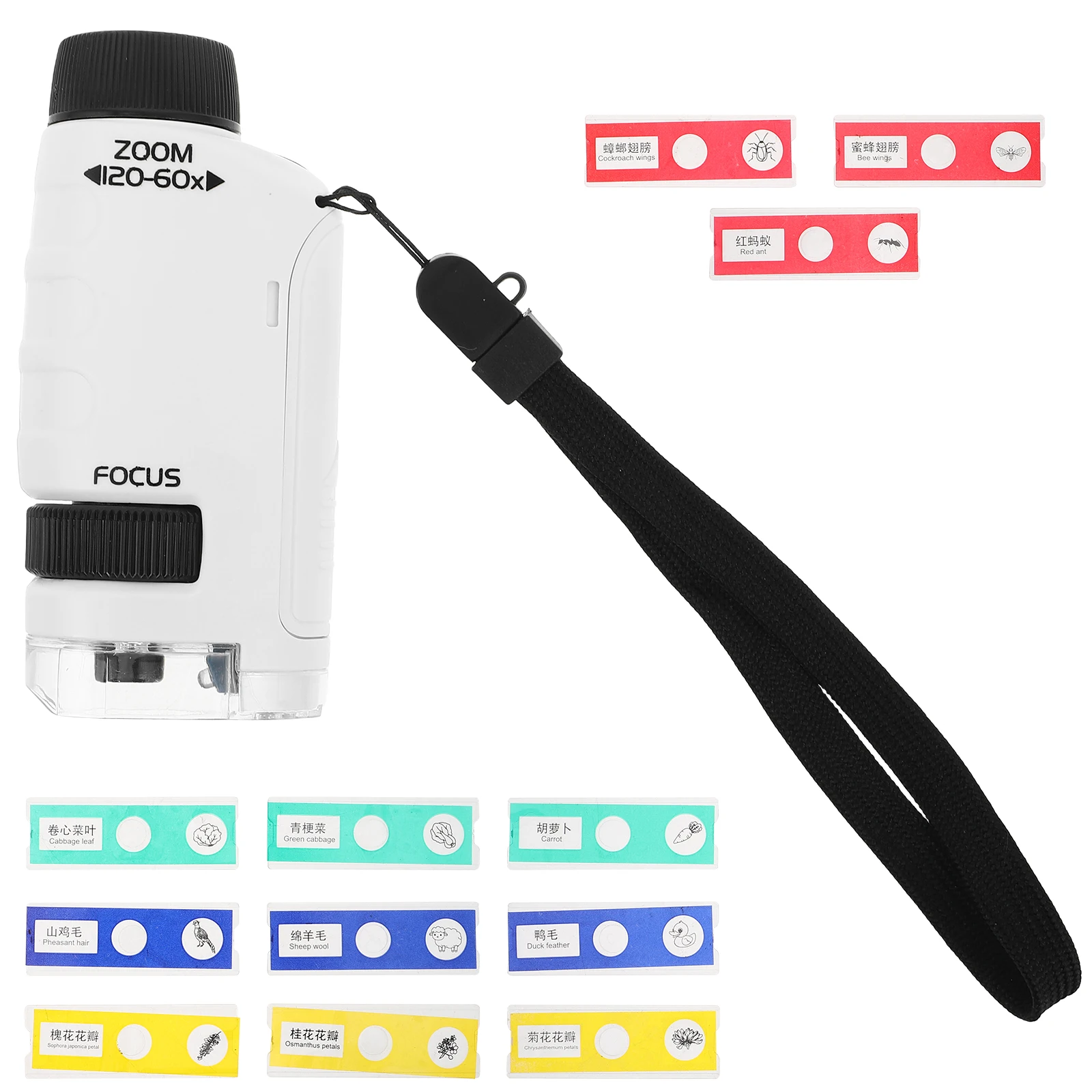 

1 set Children Microscope Handheld HD Optical Biology Kit for Kids Portable Mini Scientific Exploration Teaching Aids Set