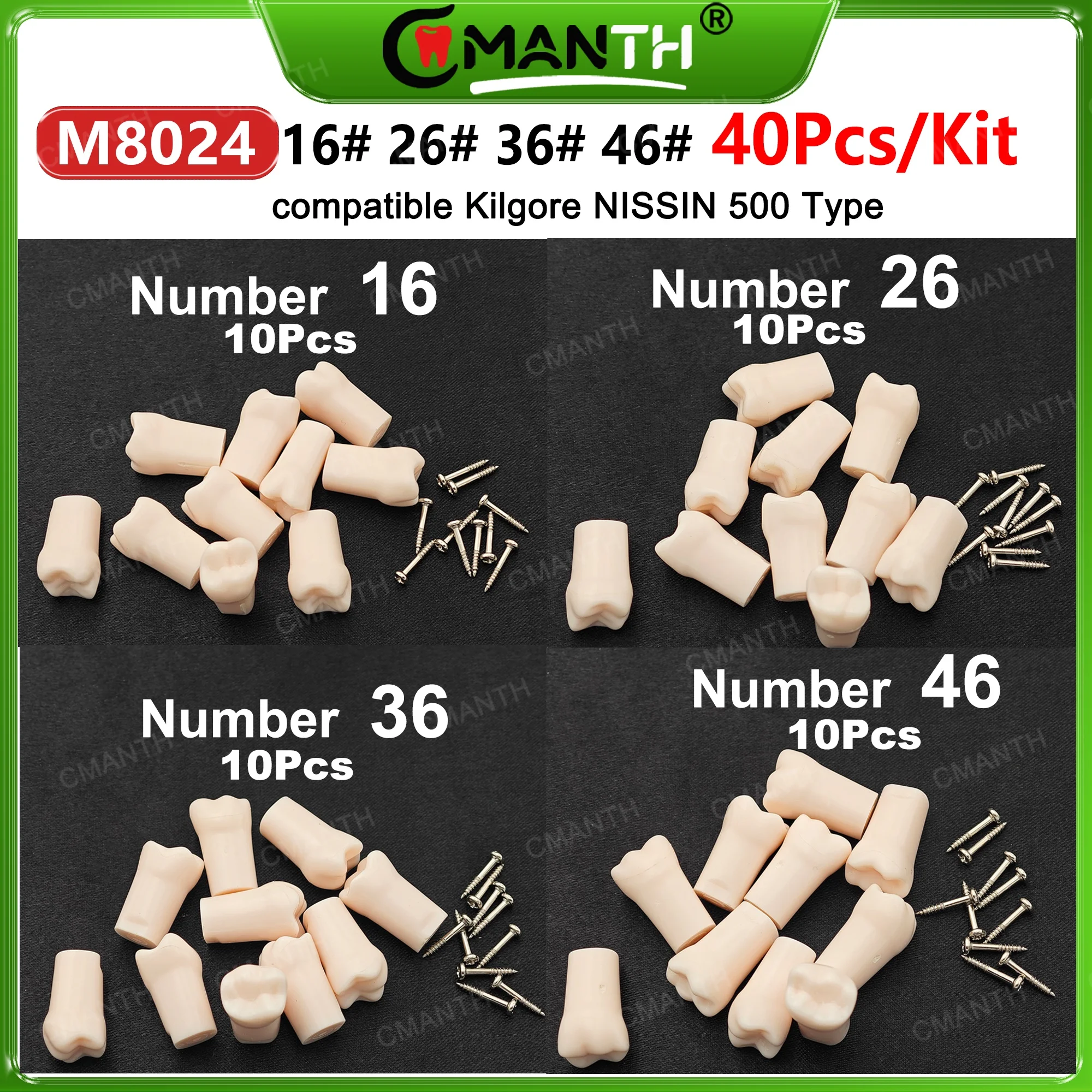 

Dental Typodont Teeth Replacement Set of 40 Teeth Kilgore Nissin 500 Fit Screws #16 #26 #36 #46