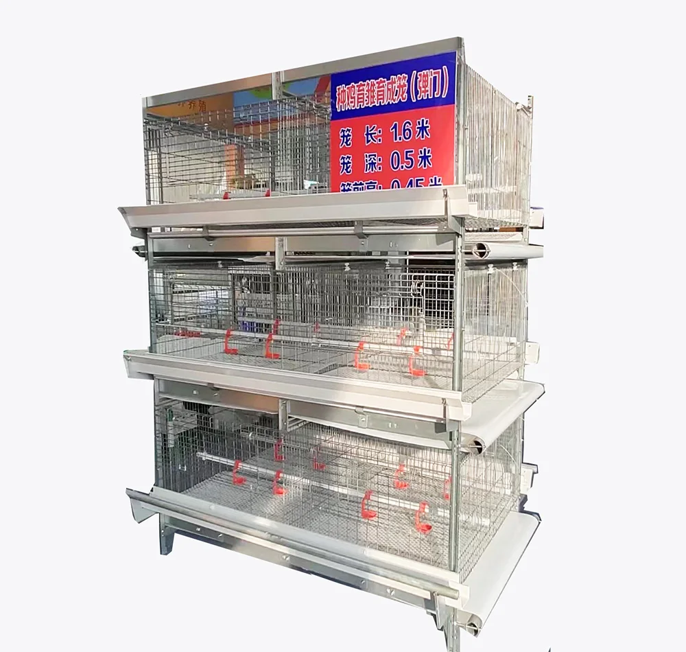 

H Type Poultry Farm Equipment Brood Coop, Baby Chicken Cage Baby Chicks Hen Breeding Cage for Chick