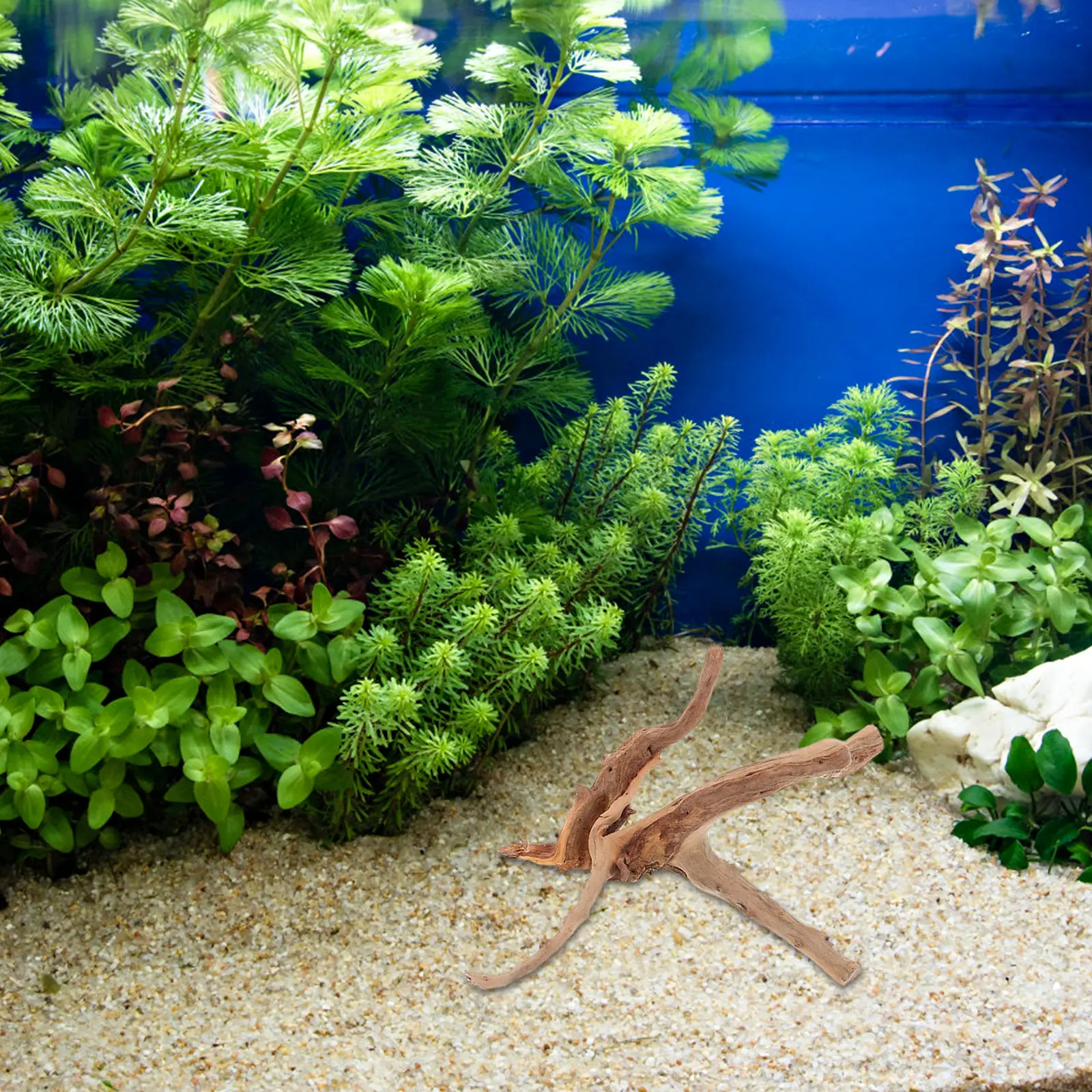 3 szt. ozdobnych gałęzi drzewn – Planted Aquarium With Driftwood recenzja i cena