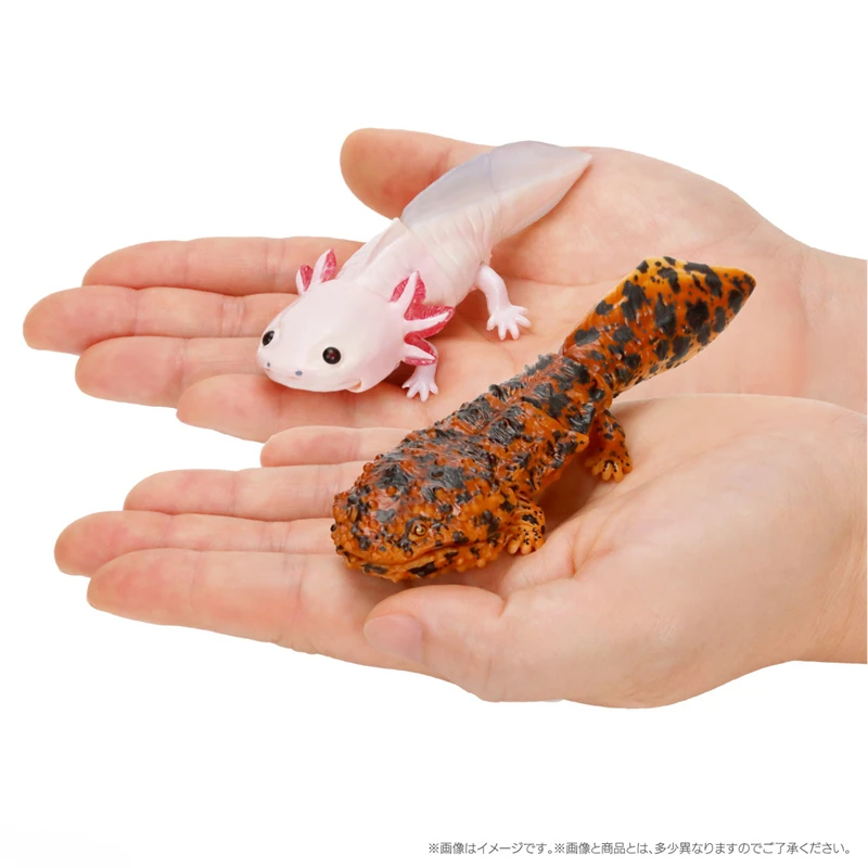 Cynops Orientalis Salamandrid Emulation Creature Model Collection Gashspon Capsule Toy Children Gifts