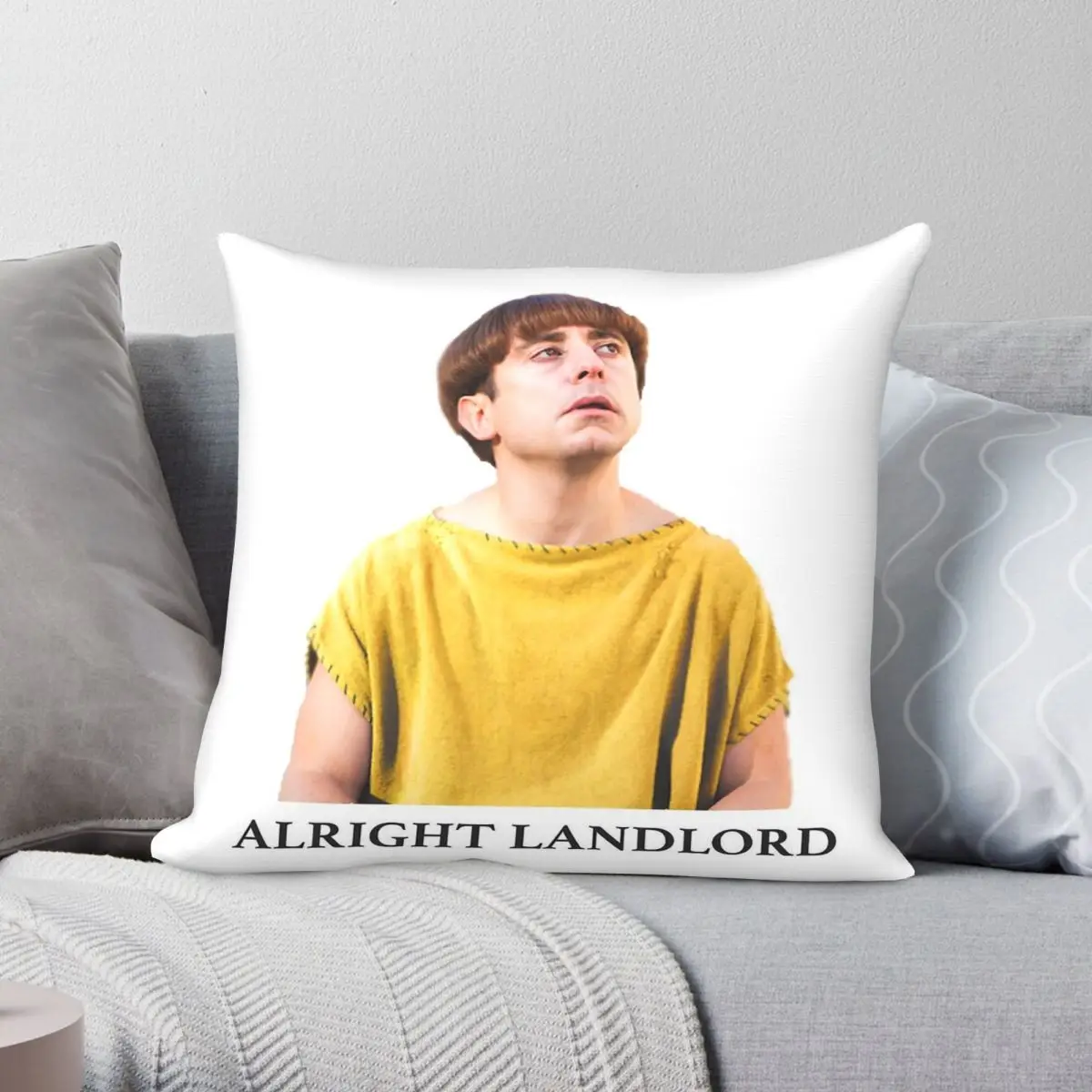 Plebs Grumio Alright Landlord Square Pillowcase Polyester Linen Velvet Printed Zip Decor Sofa Cushion Cover Wholesale 18