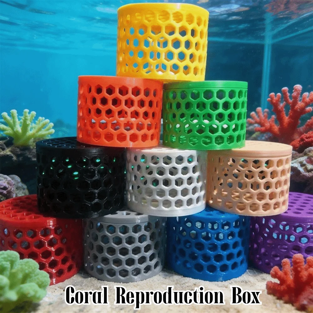 3D Printing Coral Reproduction Box Ornamental Aquarium Coral Transplanting Box Small Coral Mounting Tools Fish Tank Decoration