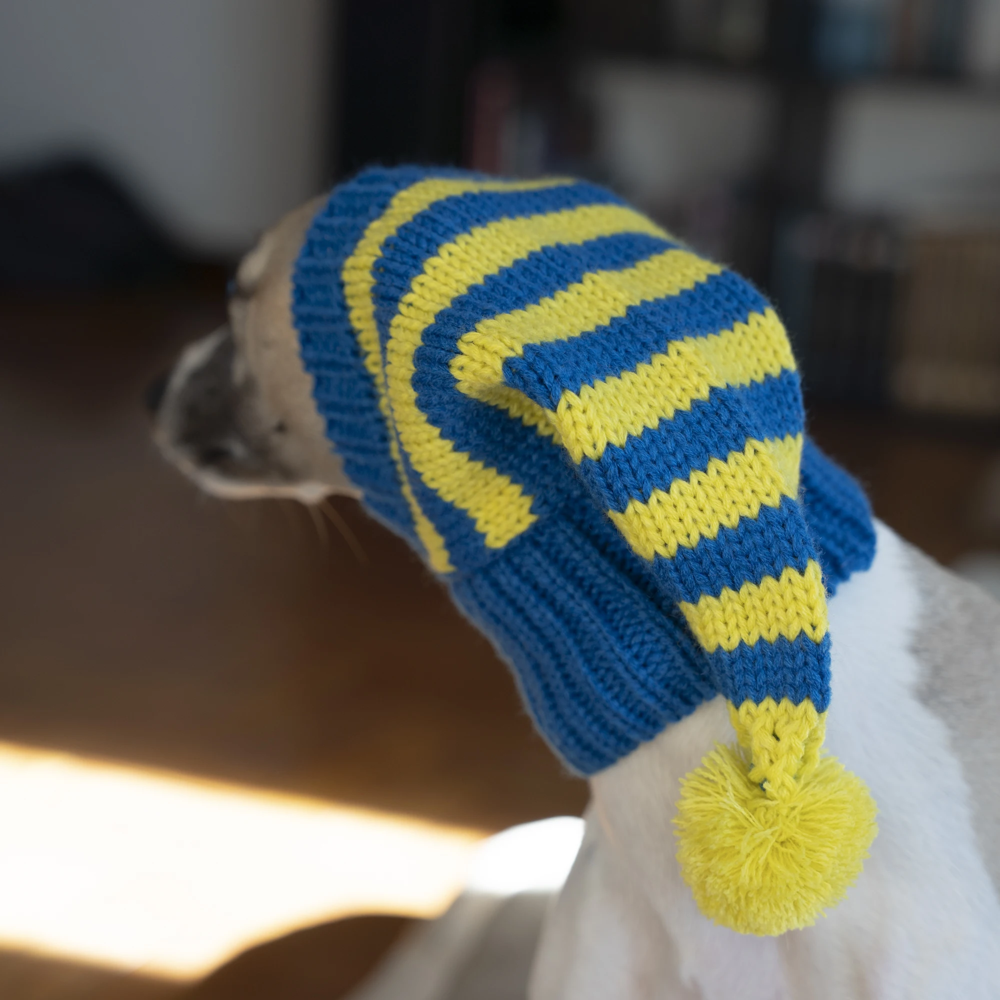 Whippet-Iggy Warm Knitted Pet Hat, Rayas, Galgo italiano, Invierno