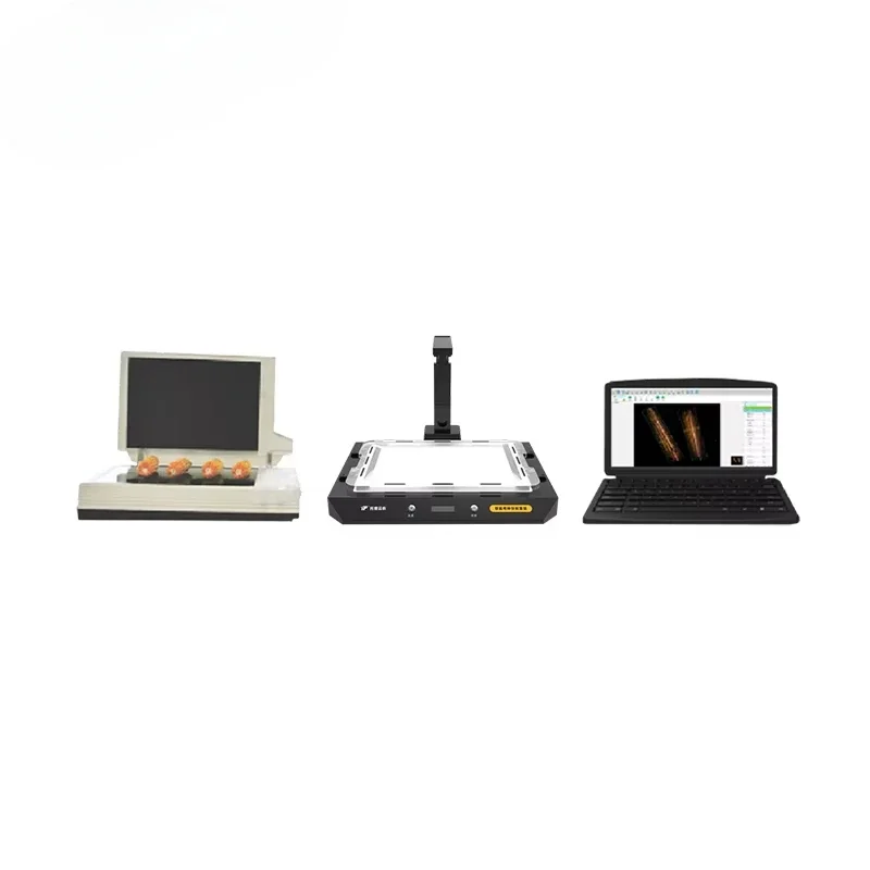 Corn Analysis System Crops Study Analyzer Corn Scanner