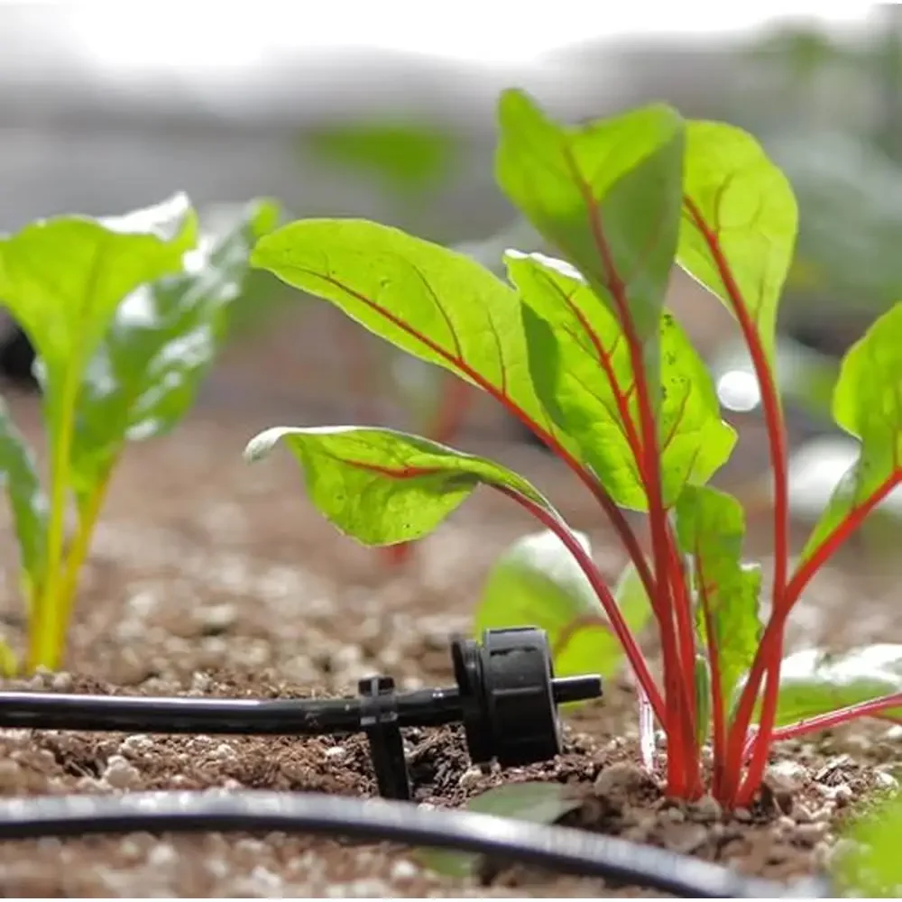 Sistema de irrigação por gotejamento movido a energia solar automático 50 gotejadores 155 pés varanda estufa & cama de jardim elevada rega eficiente fácil