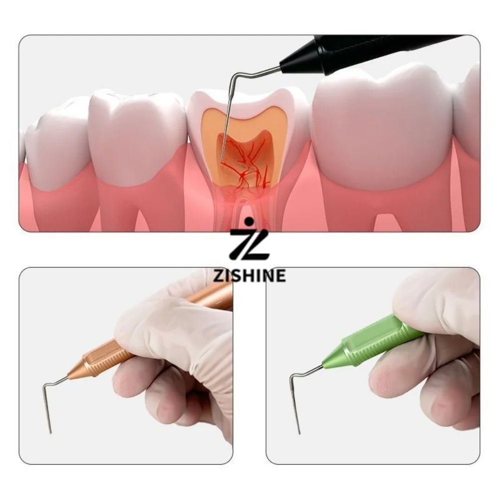 Dental Hand Plugger Set NiTi & Stainless Steel Double-Ended Root Canal Vertical Condensation Obturation Instrument 3Pcs Kit