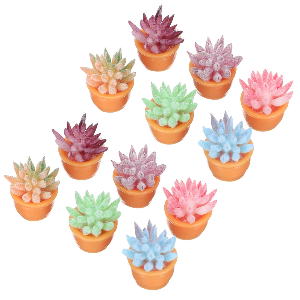 

12 Pcs Indoor Plants Succulent Decorations Miniature Bonsai Garden Ornaments Potted Small Accessories Child