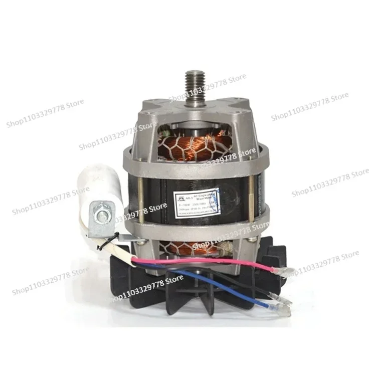 mixer ac motor 220v AC Electric 230v ac synchronous motor universal acmotor 1000w 220v 450w