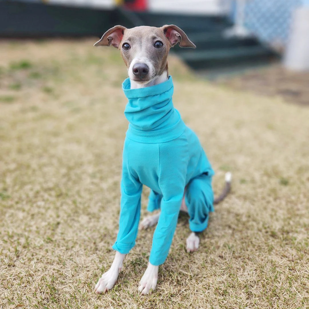 Whippet Greyhound Onesie High Collar Cotton Dog Clothes For Small Medium Large Dogs pet items dog  dog costume