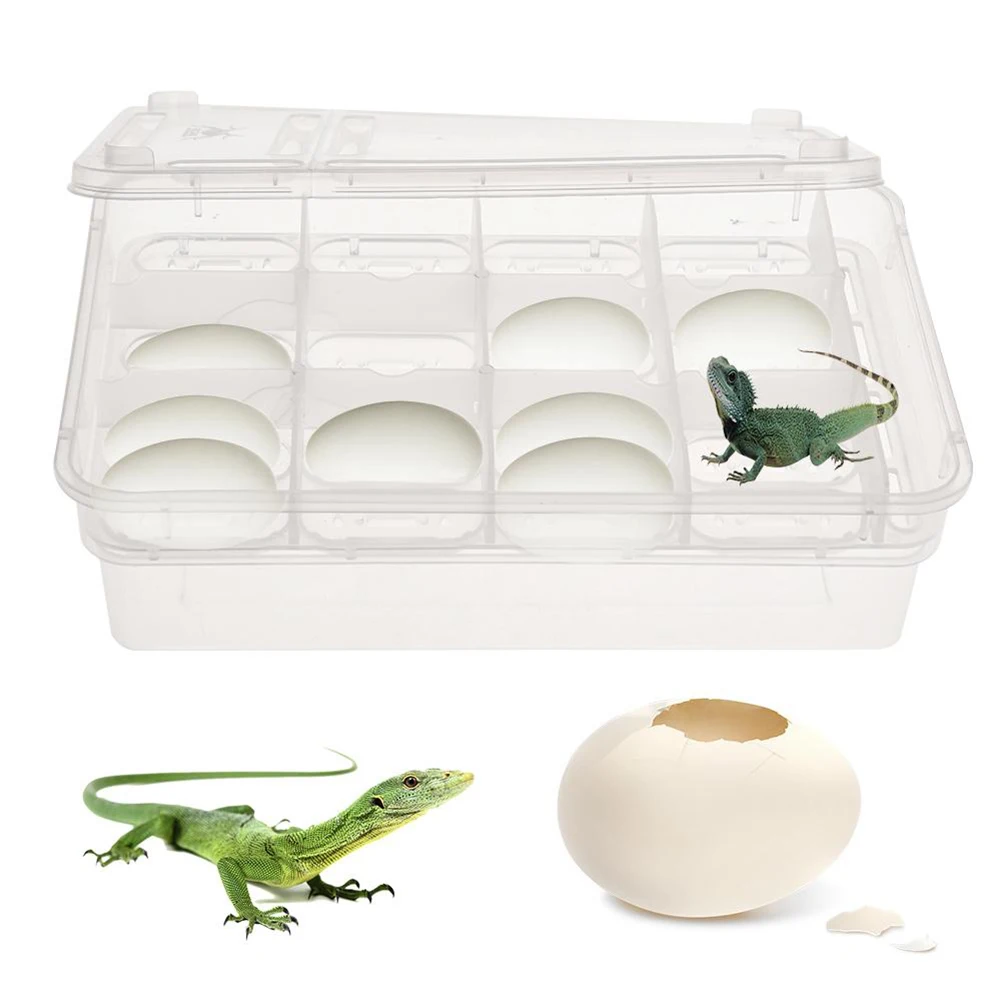 

24 Compartments Hatching Box Incubator Gecko Lizard Breeding Isolation Box for Snake Reptile Egg Storage Reusable Transparent