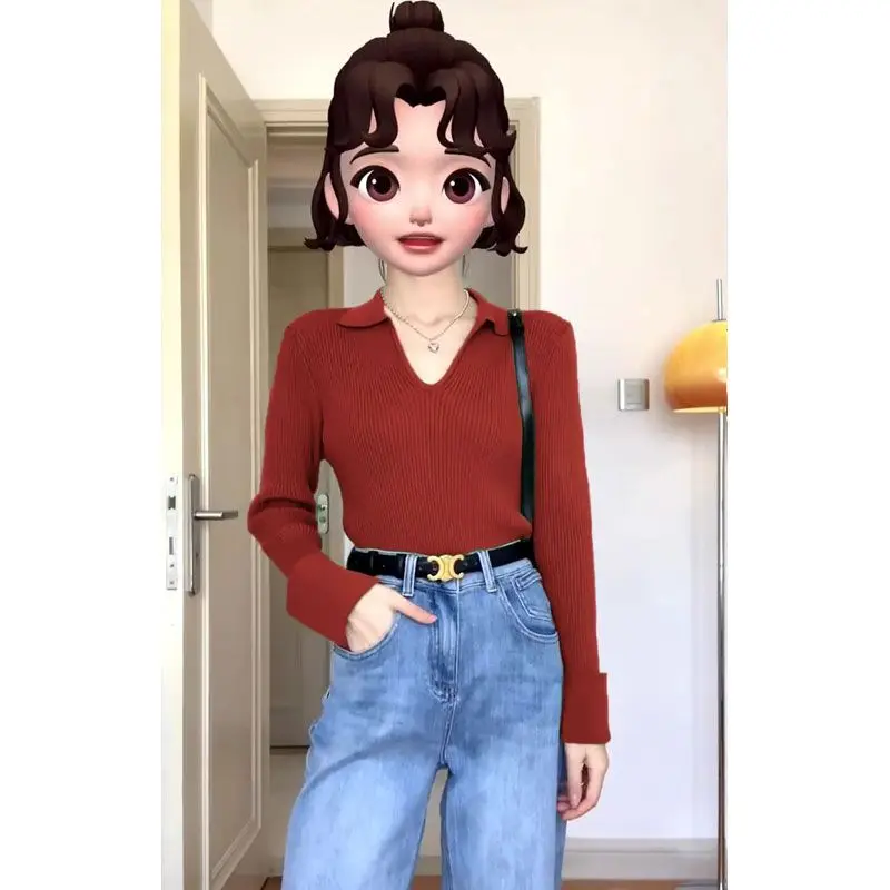 

Свитера Джемперы Пуловеры Женские водолазки с текстурой Подол Западные шерстяные вязаные кашемировые художественные современные теплые Хэллоуин