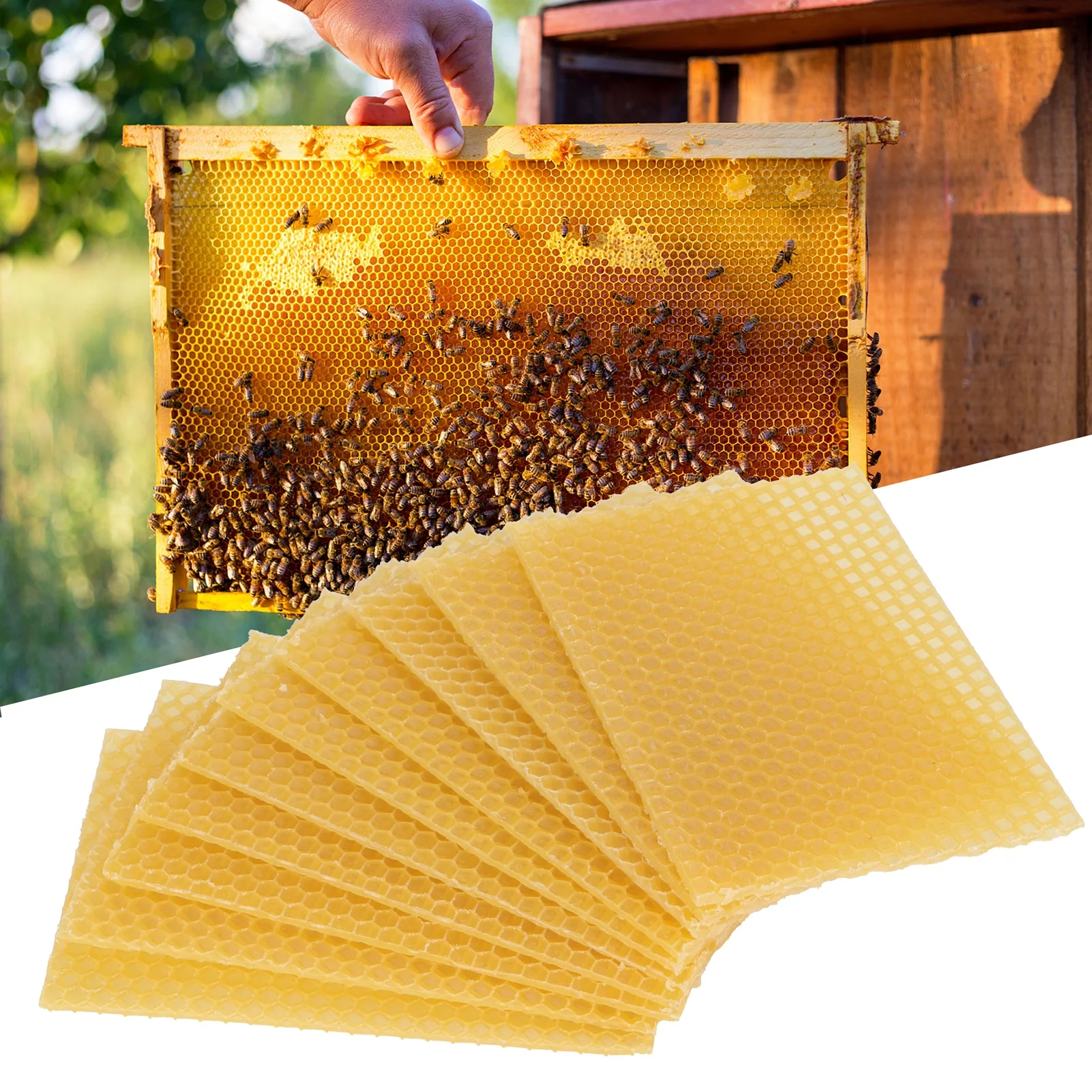 Beekeeping Beeswax  Beehive Wax Frame for Furniture Floor Polishing Beehive Wax  Beekeeping