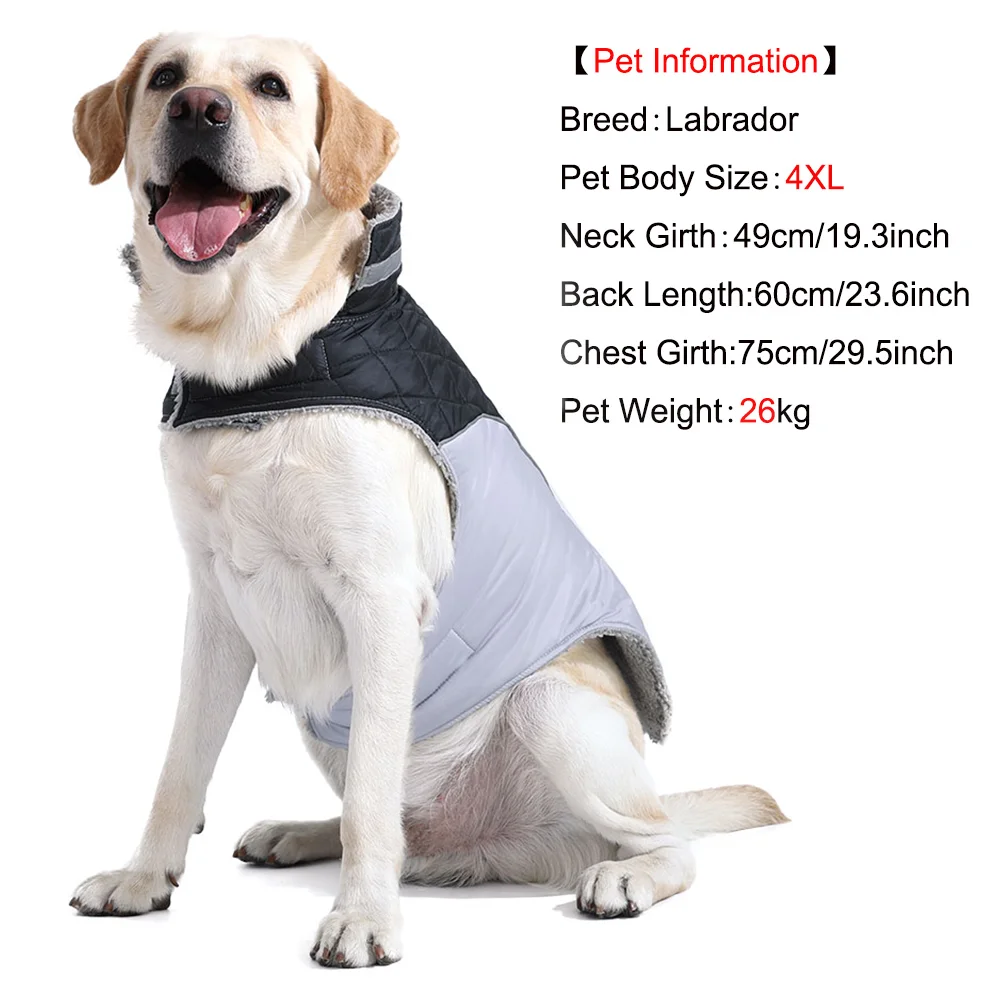 Thumbnail 4 - #24 Compare Waterproof Dog Jackets Before You Buy