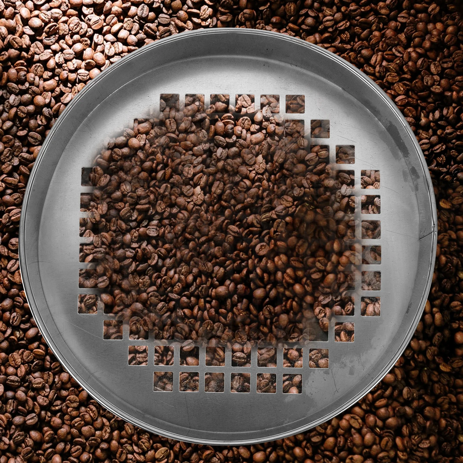 

1Pcs Stainless Steel Blueberry Grading Sieve Round Mesh Sieve Kitchen Home for Blueberries Pearls Kitchen Supply