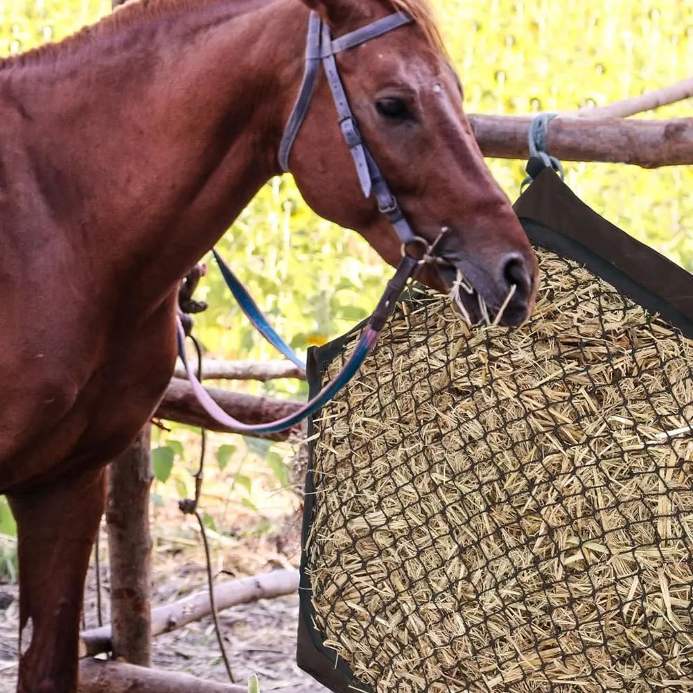 حقيبة شبكية للتغذية البطيئة متعددة الألوان، وحدة تغذية الحصان بأربعة جوانب مع شريطين للتعليق #1