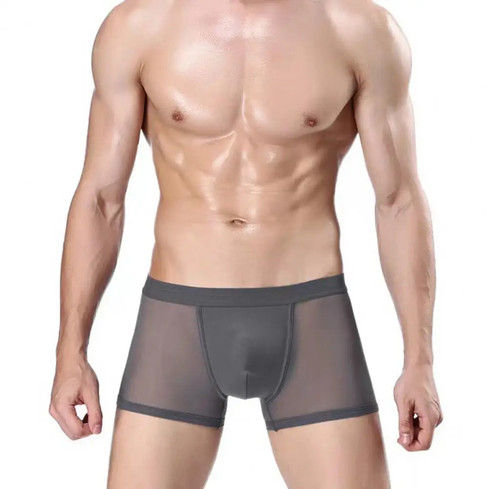 

Men Boxer 2025 new Men's Underwear Ice Silk Mesh Men Panties Breathable Traceless Panties Male Solid Color Boxer Shorts