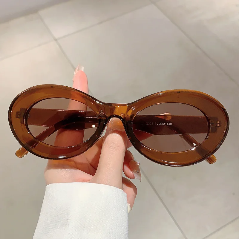 New Y2K Vintage Oval Sunglasses Women For Men Luxury Brand Designer Sun Glasses Steampunk Popular Pink Hip Hop Eyeglasses Frame