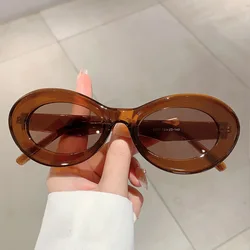 New Y2K Vintage Oval Sunglasses Women For Men Luxury Brand Designer Sun Glasses Steampunk Popular Pink Hip Hop Eyeglasses Frame