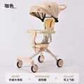 Awning - Seat Belt