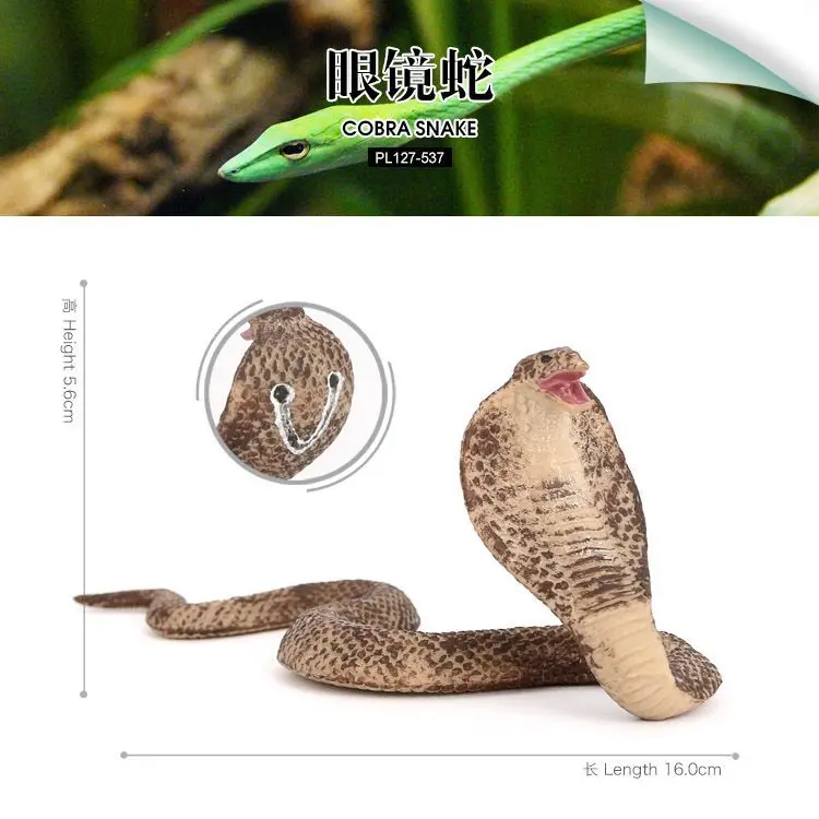 Simulazione solida del modello di rettile selvatico serpente cobra ingannaia cognitiva per bambini giocattolo spaventoso figura ornamentale