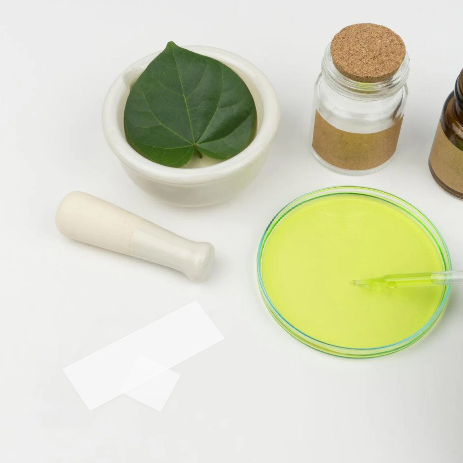 1 set Microscope Slides Coverslips Set Glass For Laboratory Use Blank Slides For Specimens Microscopy Kit Biology Medicine