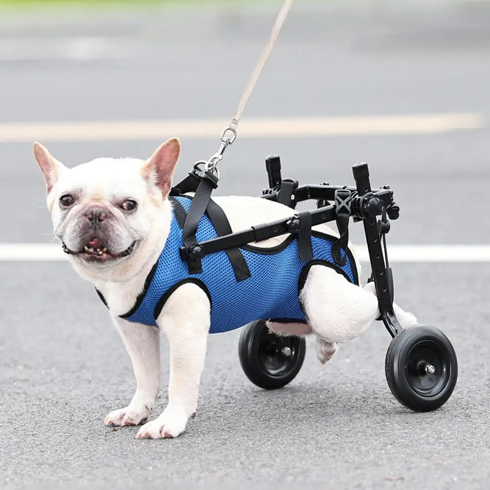 

Adjustable Hind Limb Hind Leg Disabled Pet Cat Dog Mobility Aid Trolley Legs Rehabilitation Light Pet Walk Tools