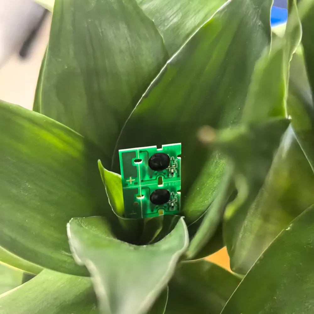 

10X T6193 Maintenance Chip for EPSON T3000 T5000 T7000 T3070 T5070 T7070 T3270 T5270 T7270 T3050 T5050 T7050 T3250 P20000