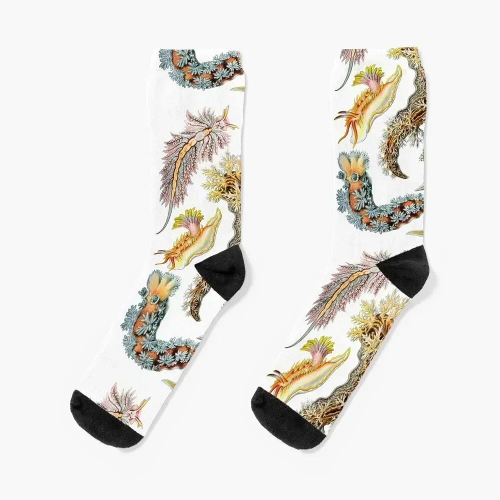 Ernst Haeckel - Nudibranchia (Snails) Socks FASHION cotton warm winter football Men Socks Luxury Brand Women's