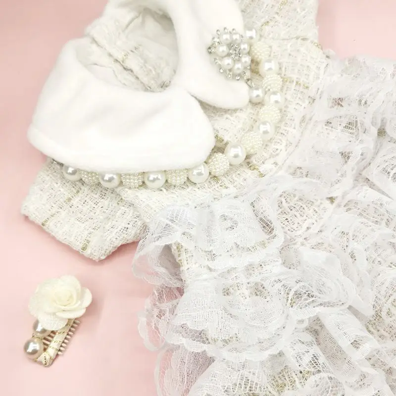 Pet Dog Dress Sweet Dog Princess Skirt Small Dog Cat Fashion Lace Shirt Skirt Spring Autumn Designer Clothes Poodle YorkiClothes