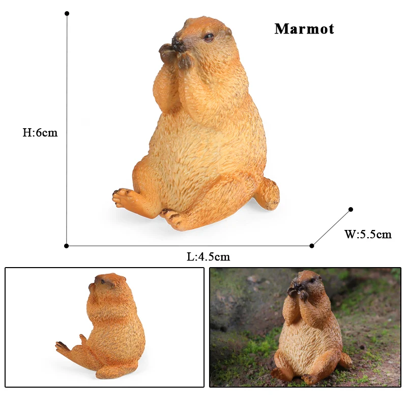 Oenux Simulação Roedores Animais Modelo Rato Selvagem Marmota Chinchilla Rato Esquilo Figura de Ação Bonito Mini Coleção Kids Gift Toy