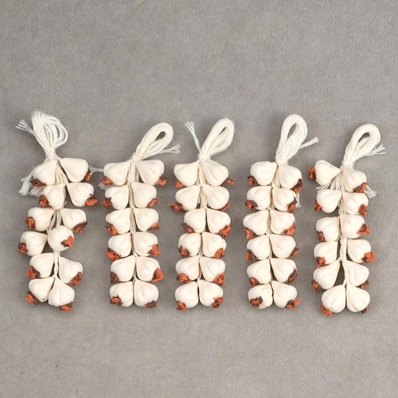 Casa muñecas miniatura hecha a mano café accesorio cocina 5 cuerdas cuerda ajo 15UB