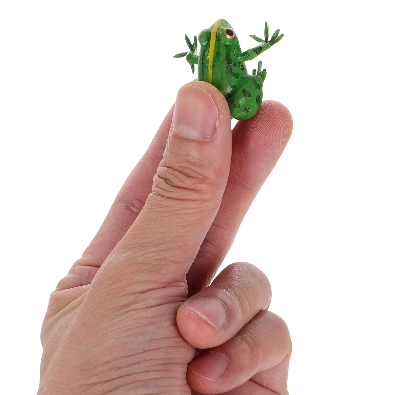 Kikker Standbeeld Dier Tuin Decor Groeicyclus Model Handleiding Nep Kikkers Ijzerdraad Beeldje Standbeelden