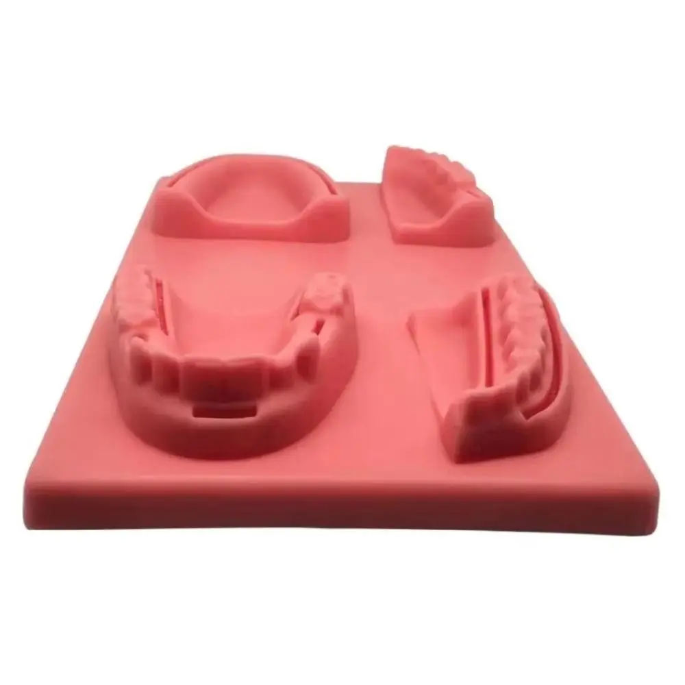 Silicone Dental Oral/Gum Suture Model 4 Wound Types Suturing Practice Oral Skin Suture Pad Simulation Soft