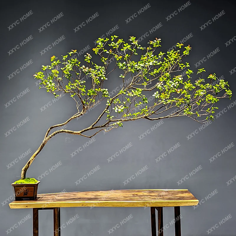 Simulation green plant interior decoration landscaping floor ornaments simple plants, tea room landscape