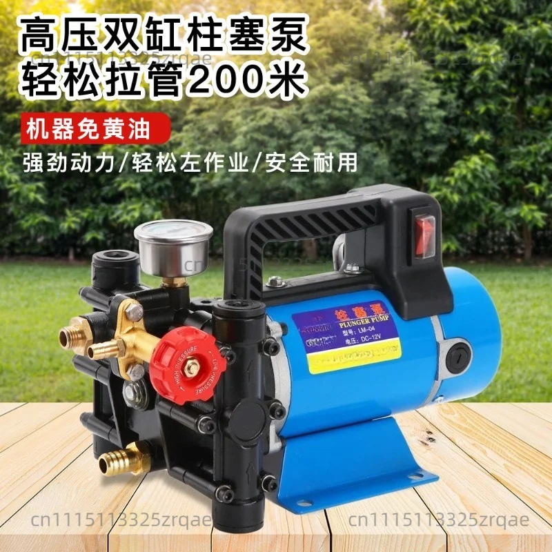 Agricultural Electric High Pressure Pump Spraying Watering Car Wash Irrigation Double Cylinder Piston 12V/24V/48V/60V/220V