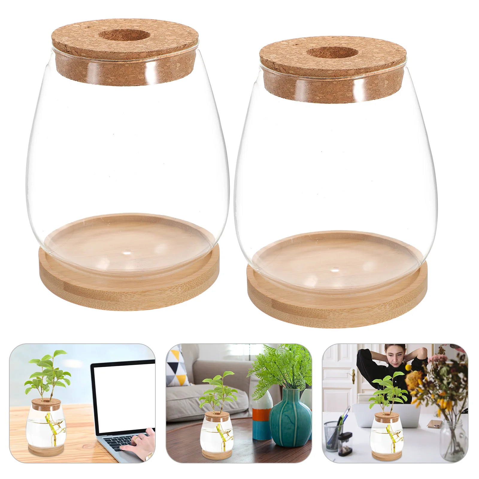 

1 Set Ecological Bottle Green Plant Micro Landscape Container Glass Terrarium For Diy Moss Hydroponic Vase Decorative Bottle