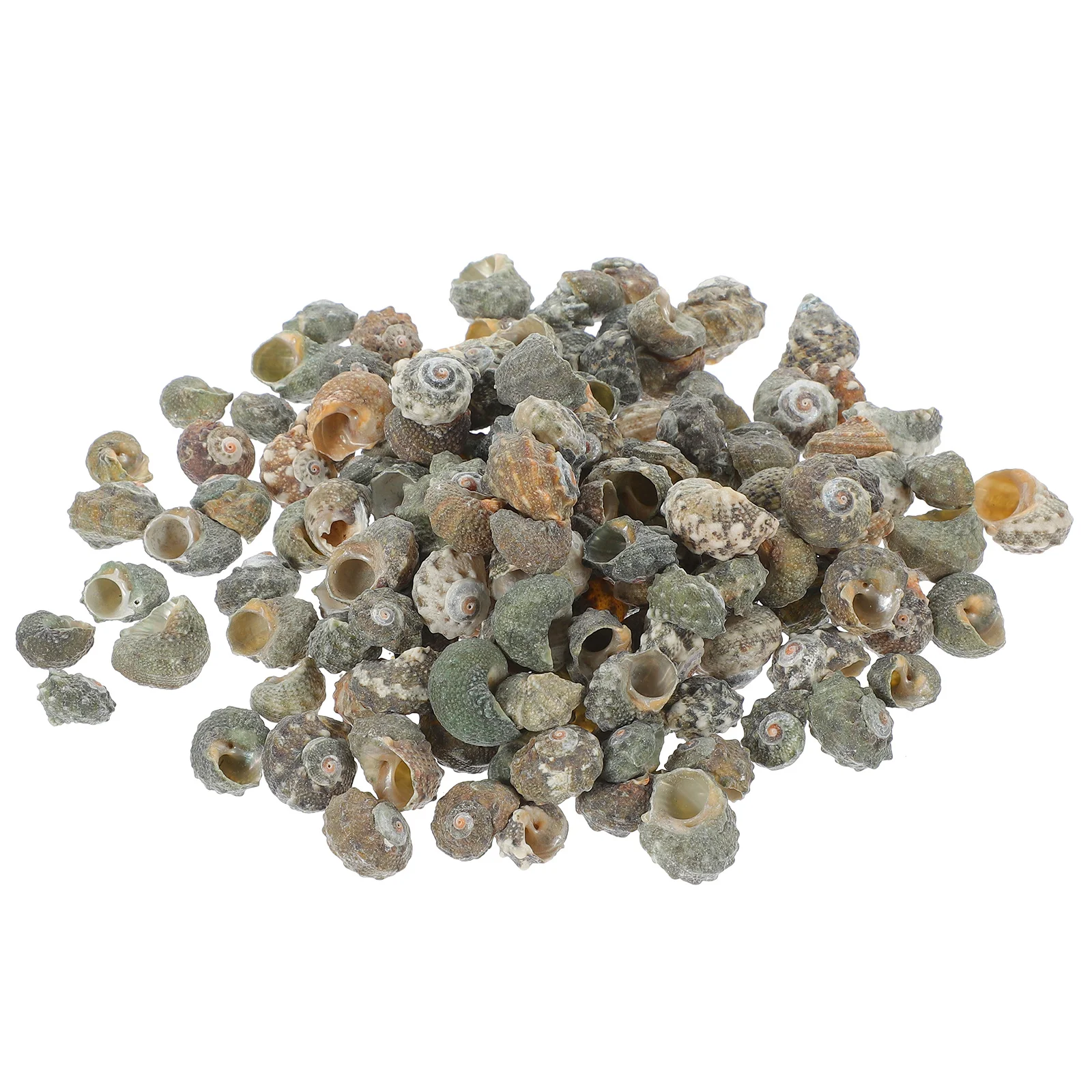 

200pcs Conch Shells Decorations Natural Seashells For Fish Tank Aquarium Landscape Diy Craft Hermit Crab Shell Replacement